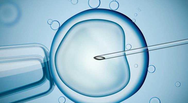 2022代孕代妈-广州代孕孩子有别人细胞吗_格鲁吉亚和乌克兰试管婴儿那个好?看